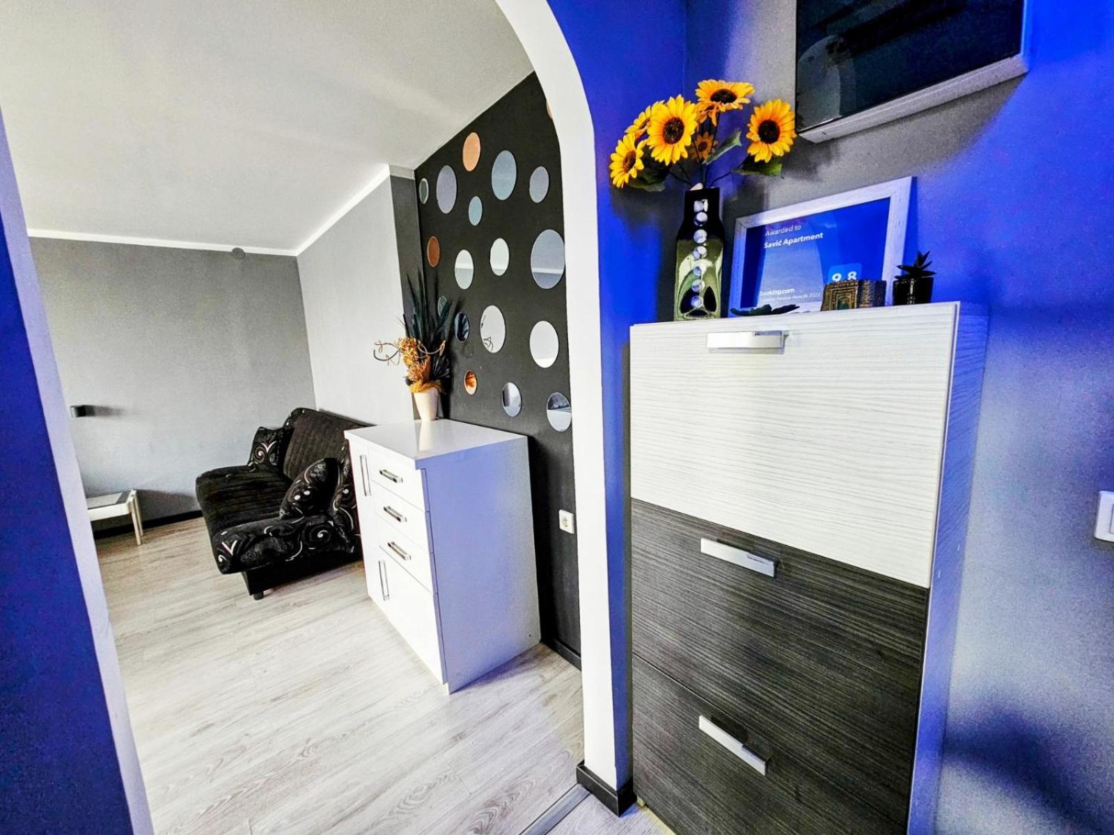 Savic Apartment Center - Parking Free นิส ภายนอก รูปภาพ